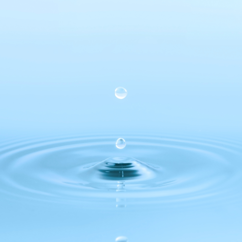 水质 常规阴离子的检测