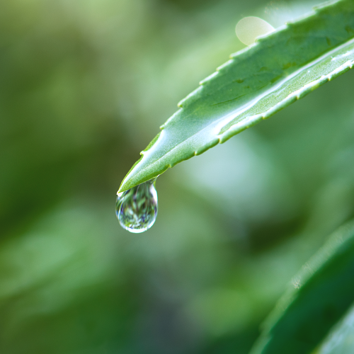 环境空气 降水中阳离子的检测